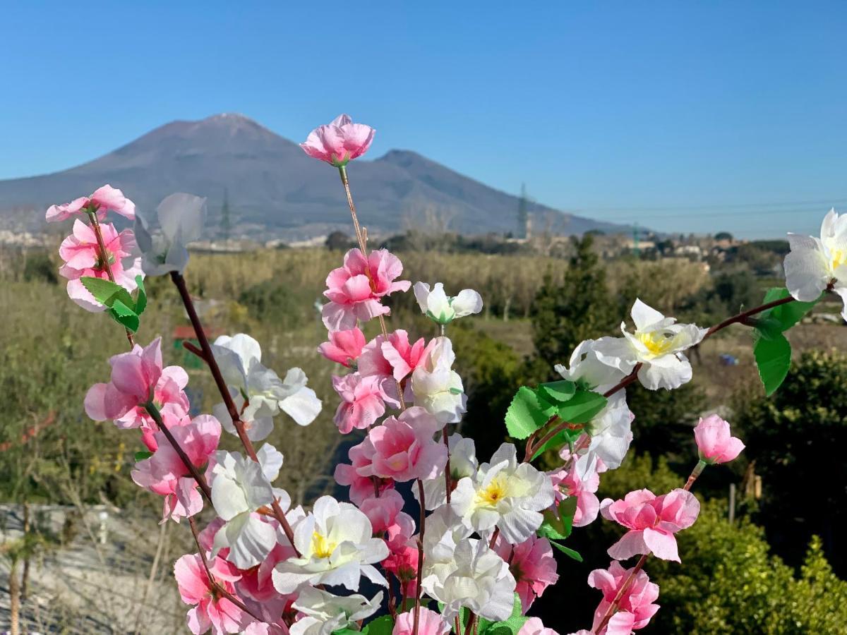 Villa Valentino Pompeji Bagian luar foto